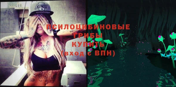 spice Горнозаводск